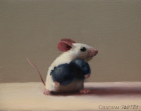 82475c_todays_catch_4x5_