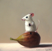 82478c_fig_time_5x5_