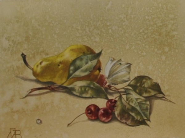 37045_zamoting_8_x_11