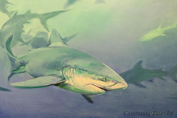 81559c_friendly_shark_24x36