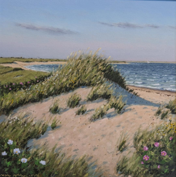 81985c_hardings_beach16x16_2052994187