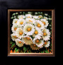 82548c_12x12_daisies